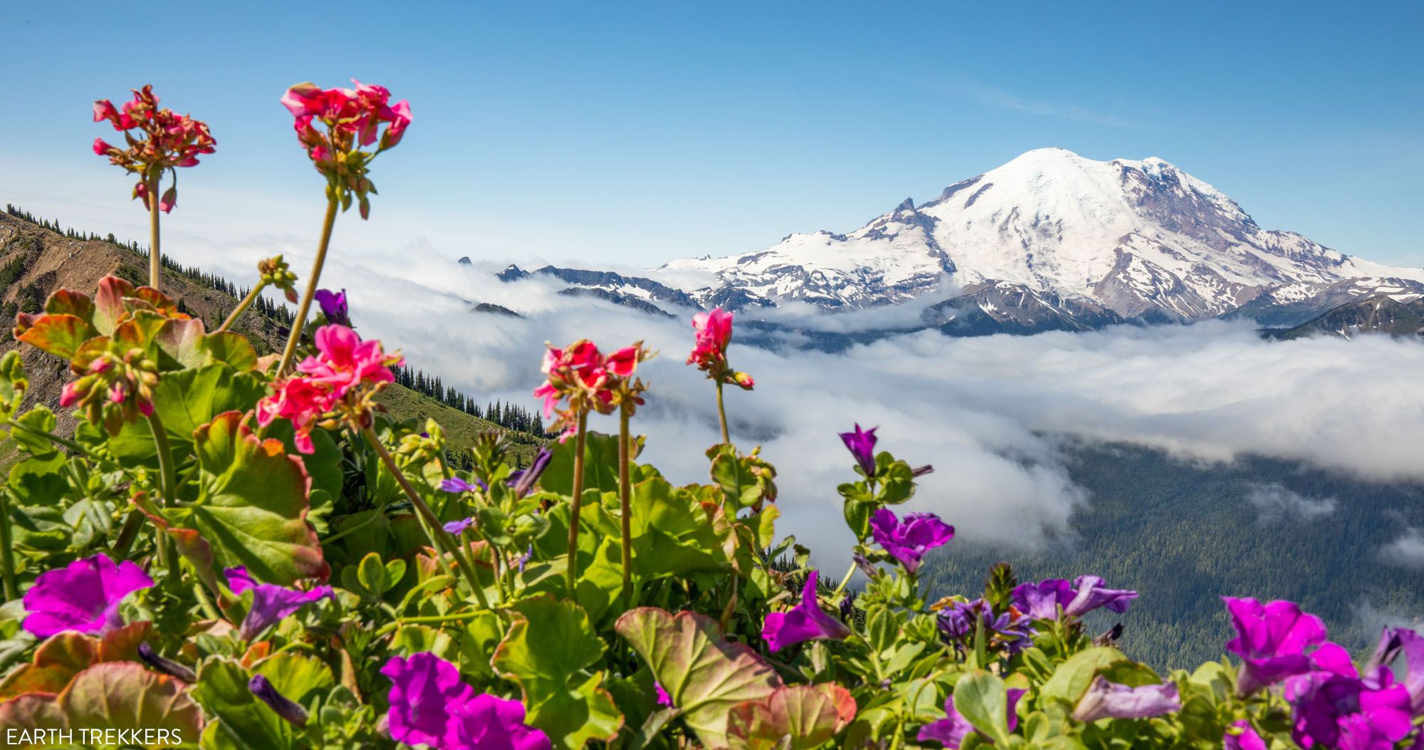 Mount Rainier Travel Guide Itinerary