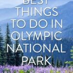 Things to do in Olympic National Park