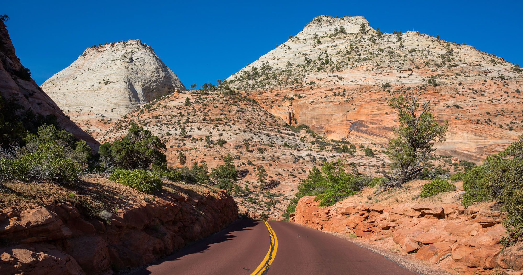 Featured image for “10 Things to Do in Zion if You Don’t Want to Ride the Shuttle”