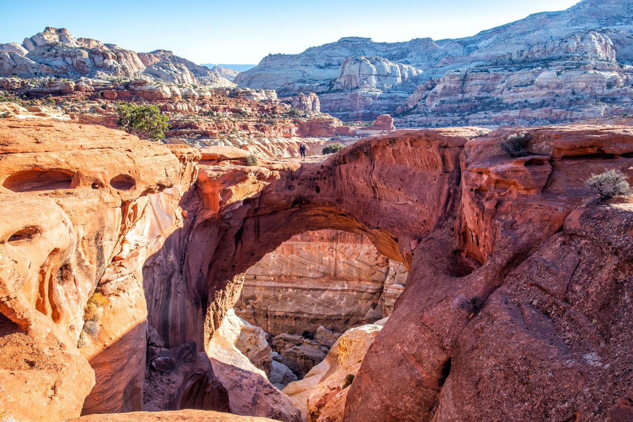 Cassidy Arch Capitol Reef National Park itinerary