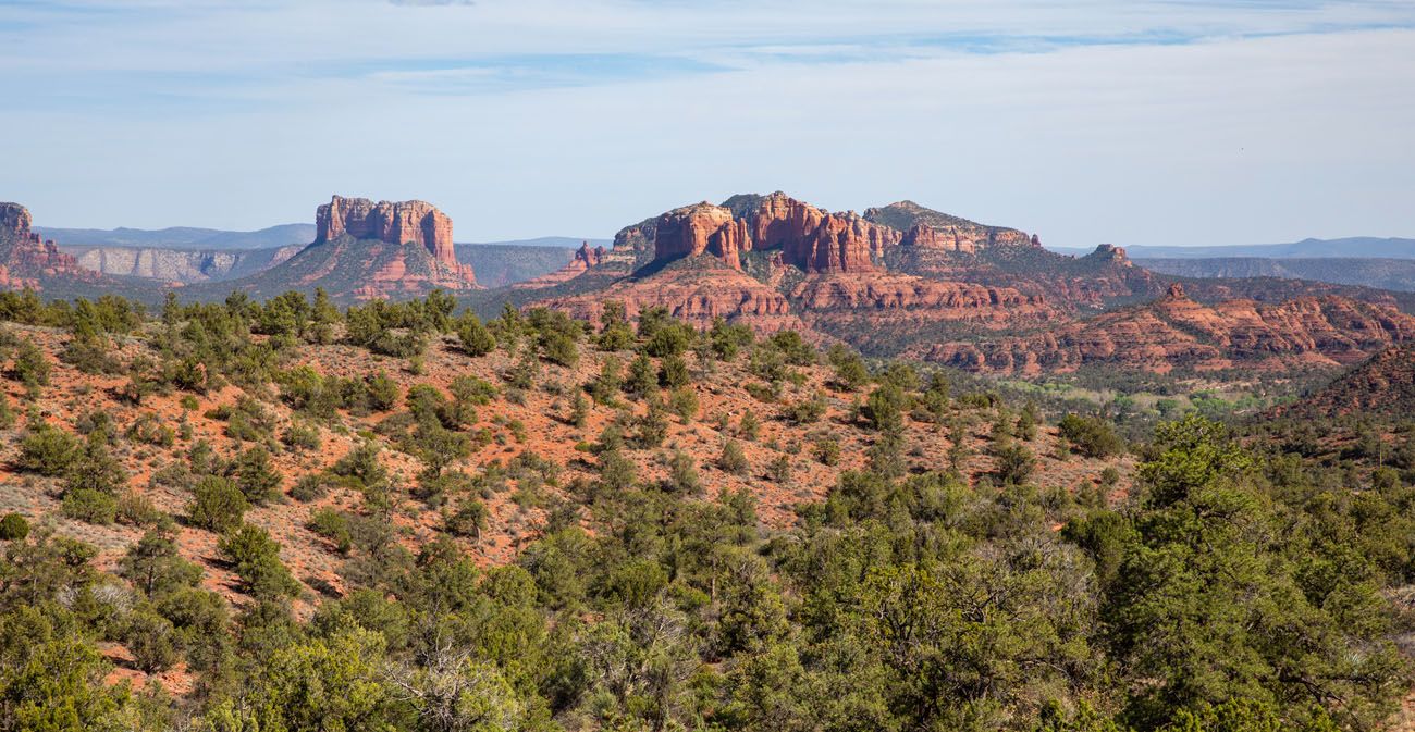 Cathedral Rock View