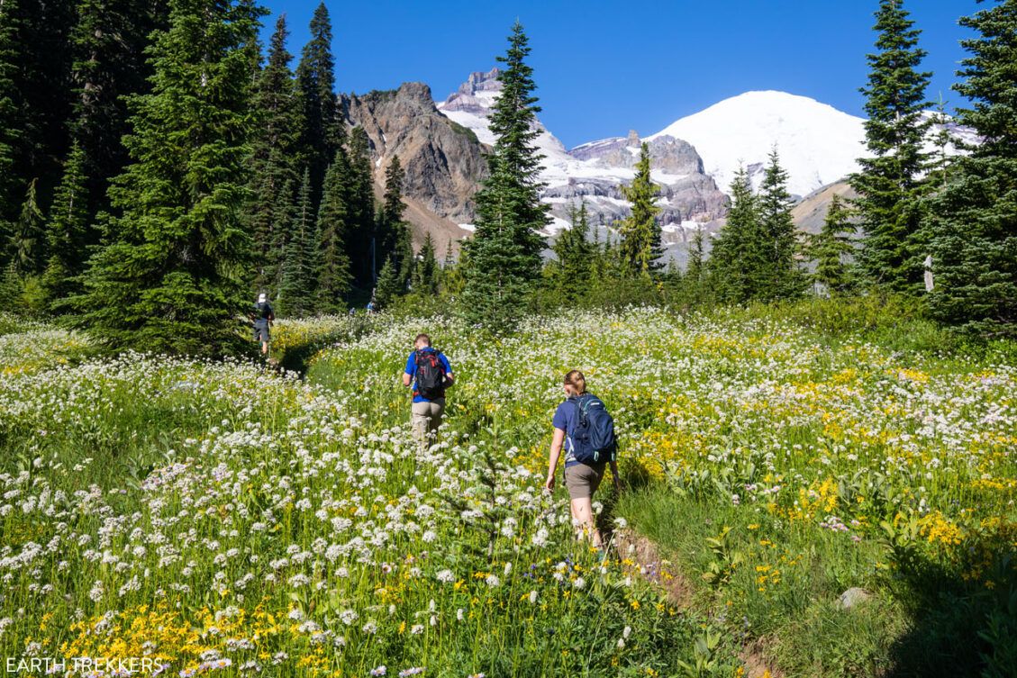 The Perfect Mount Rainier National Park Itinerary – Earth Trekkers