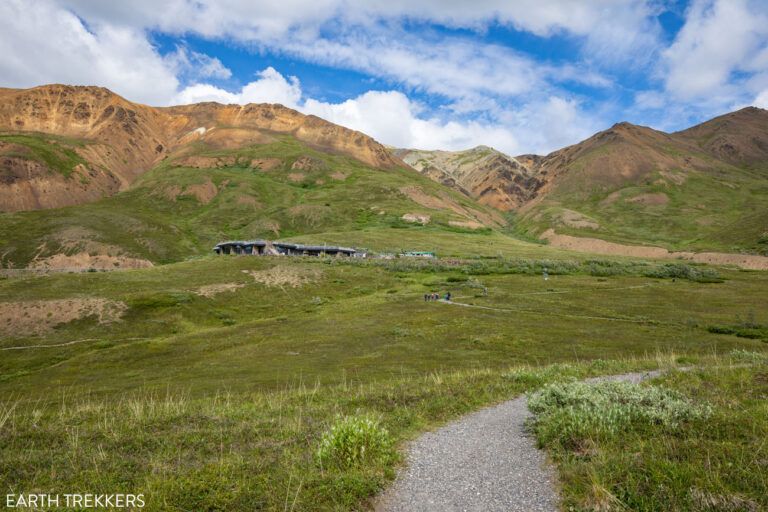 5 Reasons Why You Should Visit Eielson Visitor Center on Denali Park