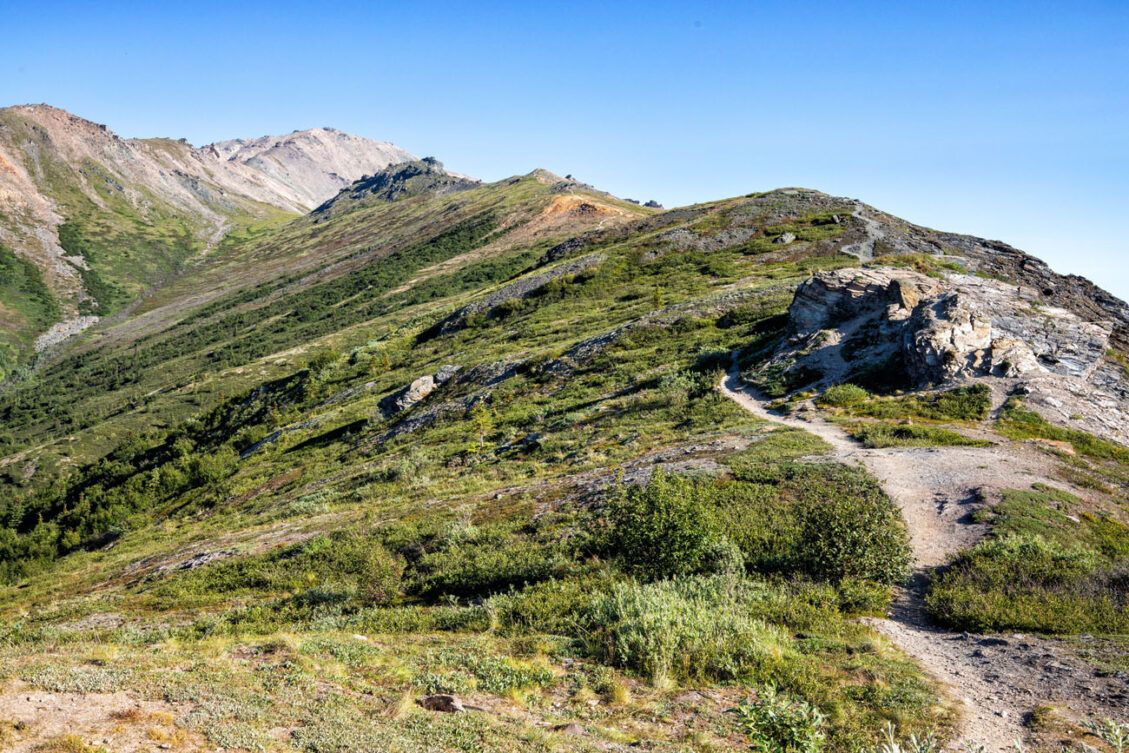 How to Hike the Mount Healy Overlook Trail | Denali National Park ...