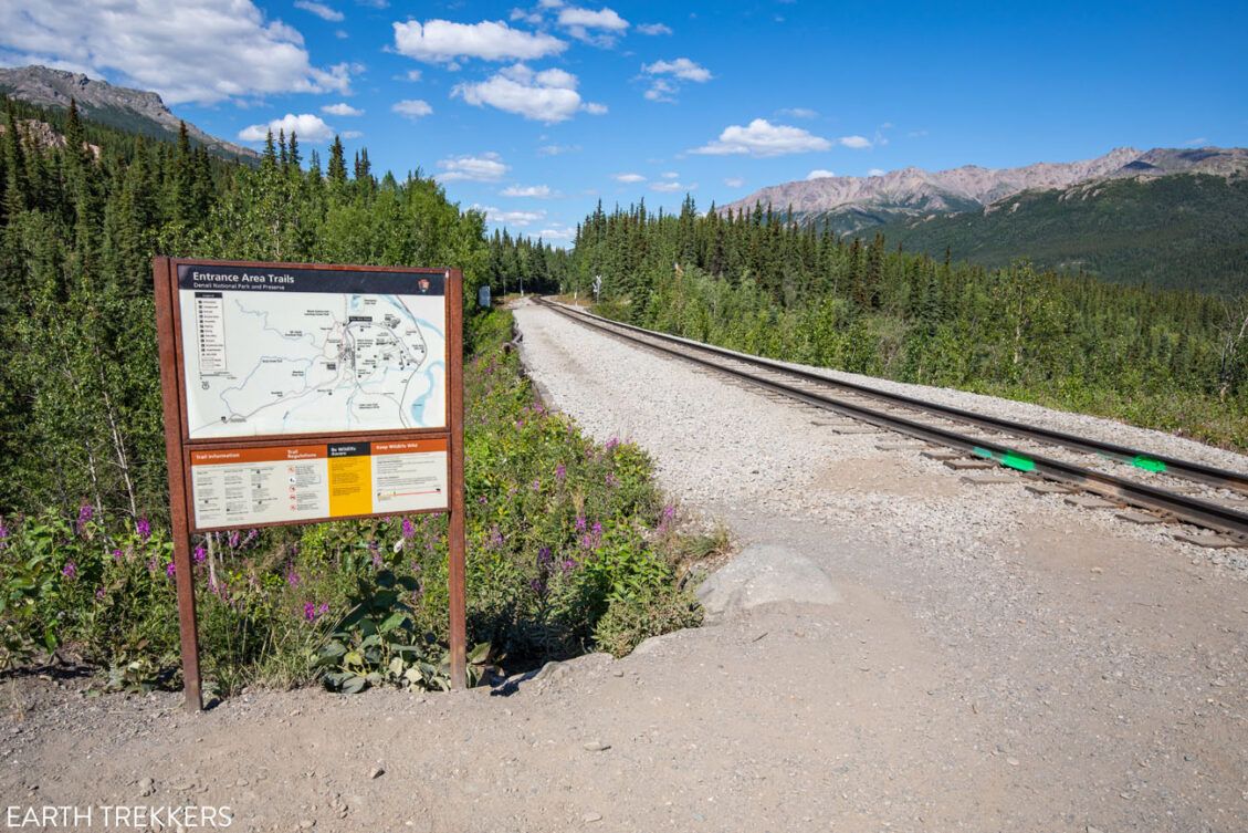 How to Hike the Horseshoe Lake Trail Denali National Park Earth