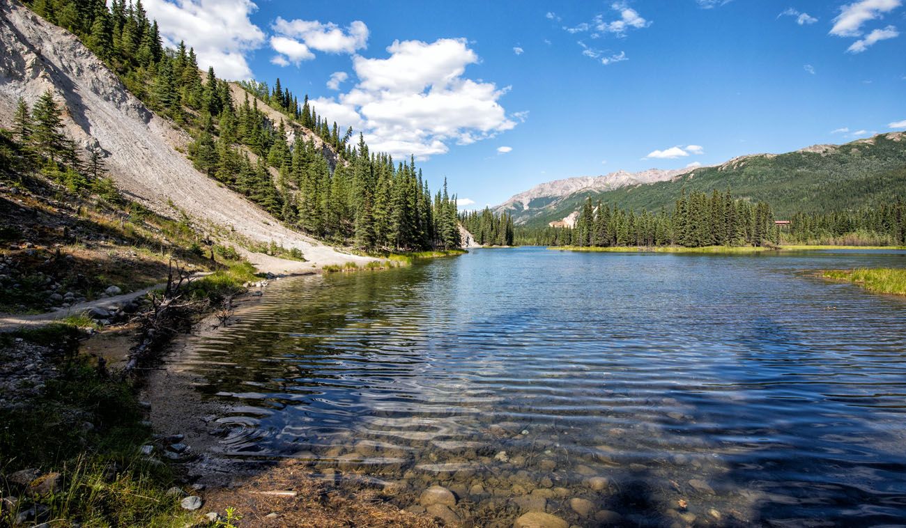 How to Hike the Horseshoe Lake Trail Denali National Park Earth