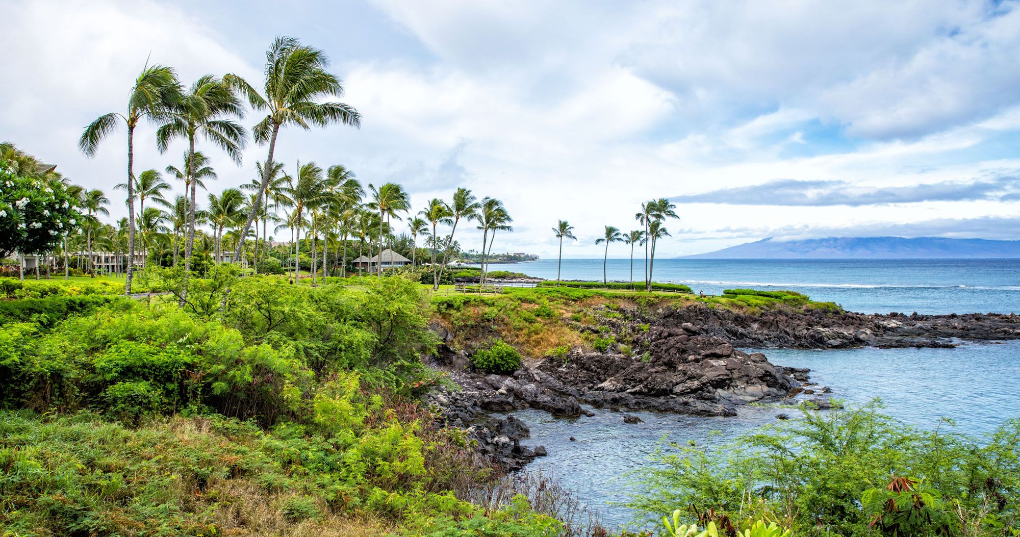 Featured image for “Maui Bucket List: 20 Best Things to Do in Maui, Hawaii”