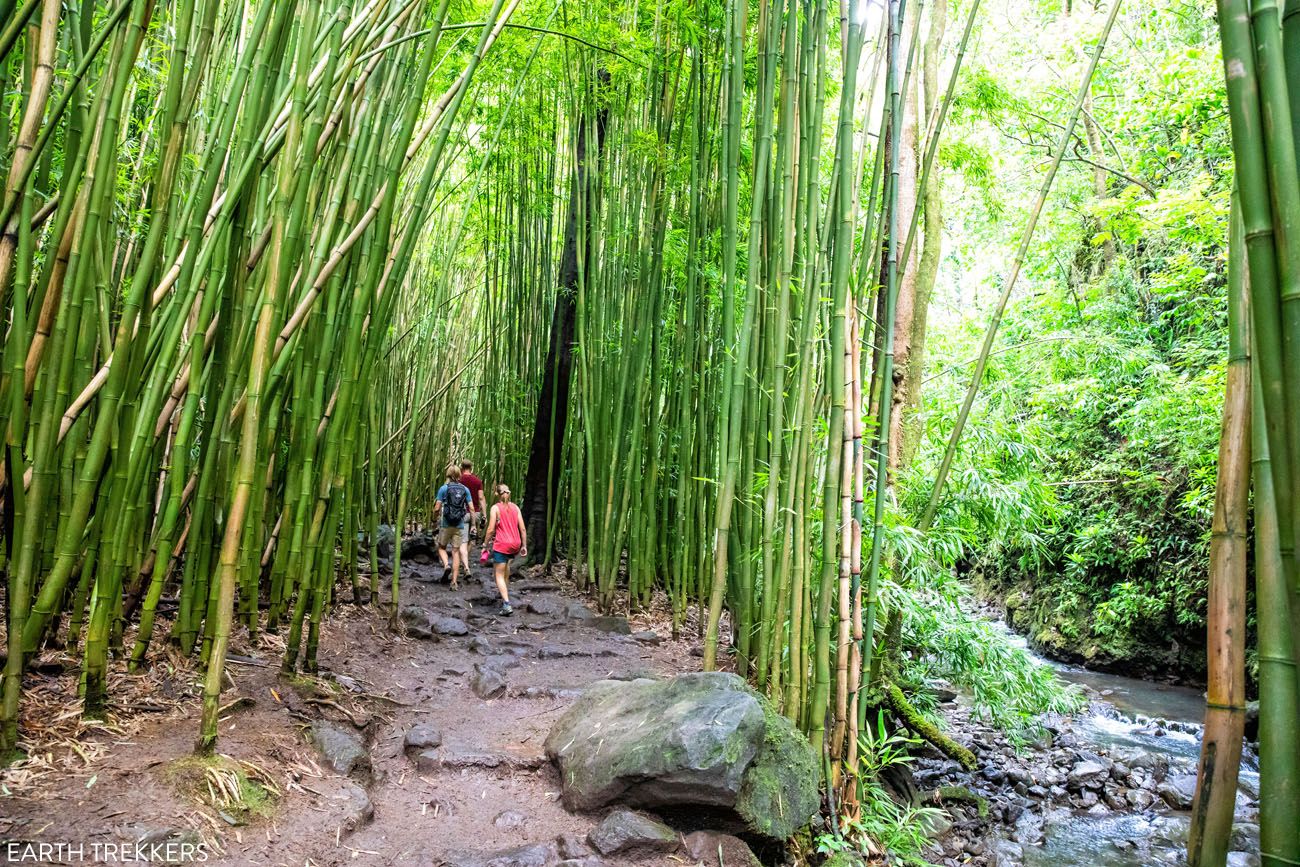 Pipiwai Trail - Earth Trekkers