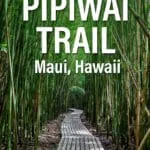 How to hike the Pipiwai Trail in Haleakala National Park, Maui. See Waimoku Falls and hike through the bamboo forest.