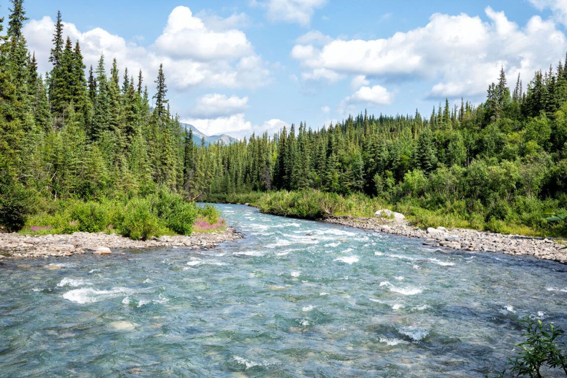 How to Hike the Triple Lakes Trail in Denali National Park – United ...