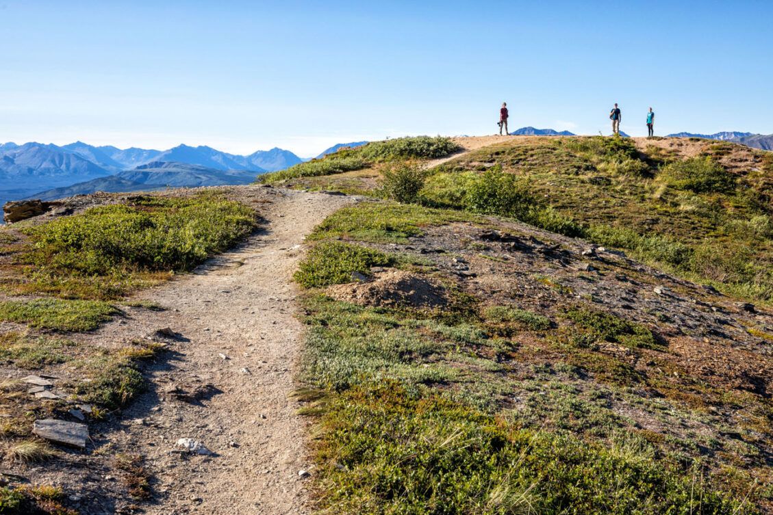 How to Hike the Mount Healy Overlook Trail | Denali National Park ...