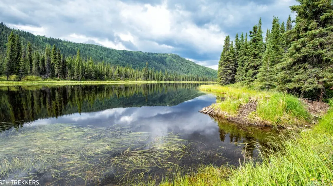 Triple Lakes Hike Denali