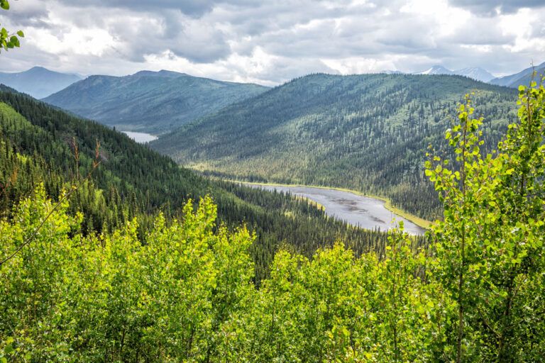 How to Hike the Triple Lakes Trail in Denali National Park – United ...