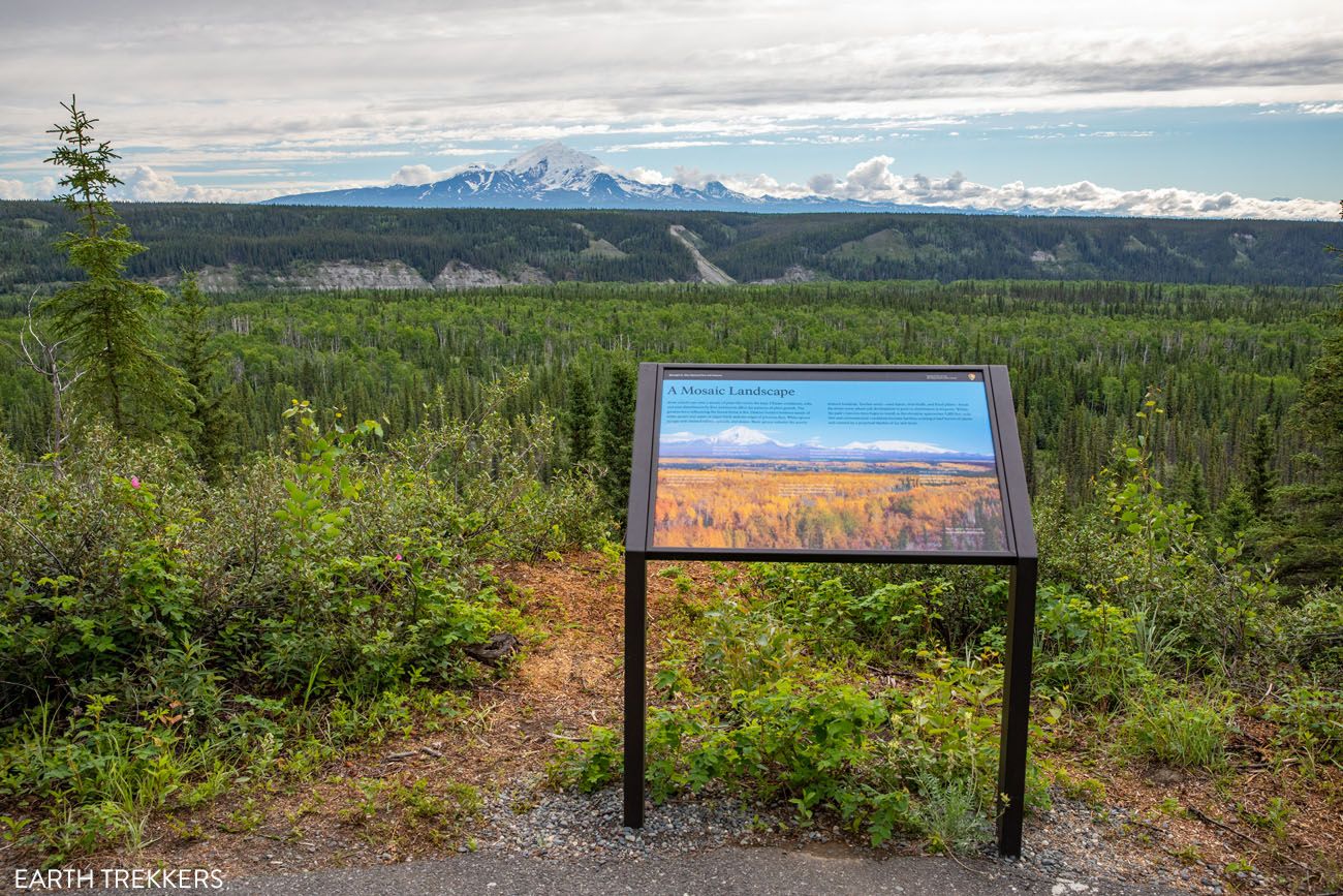 Wrangell St Elias Visitor Center View