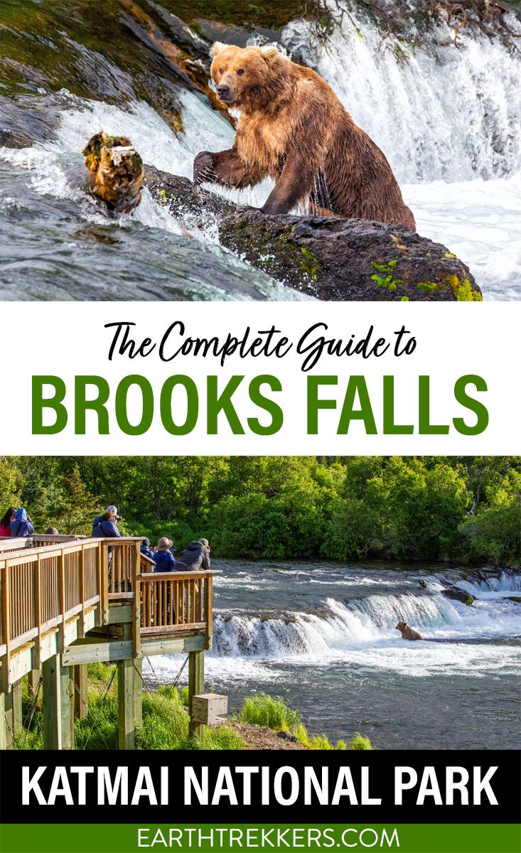 Brown Bear Cam - Brooks Falls in Katmai National Park