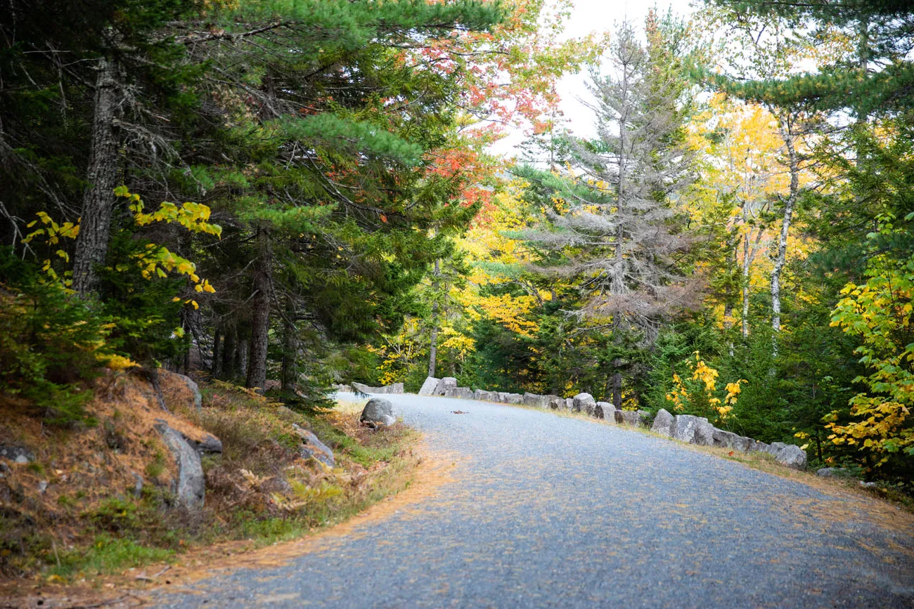 The Perfect Acadia National Park Itinerary For 2024 Earth Trekkers   Carriage Road Acadia .webp