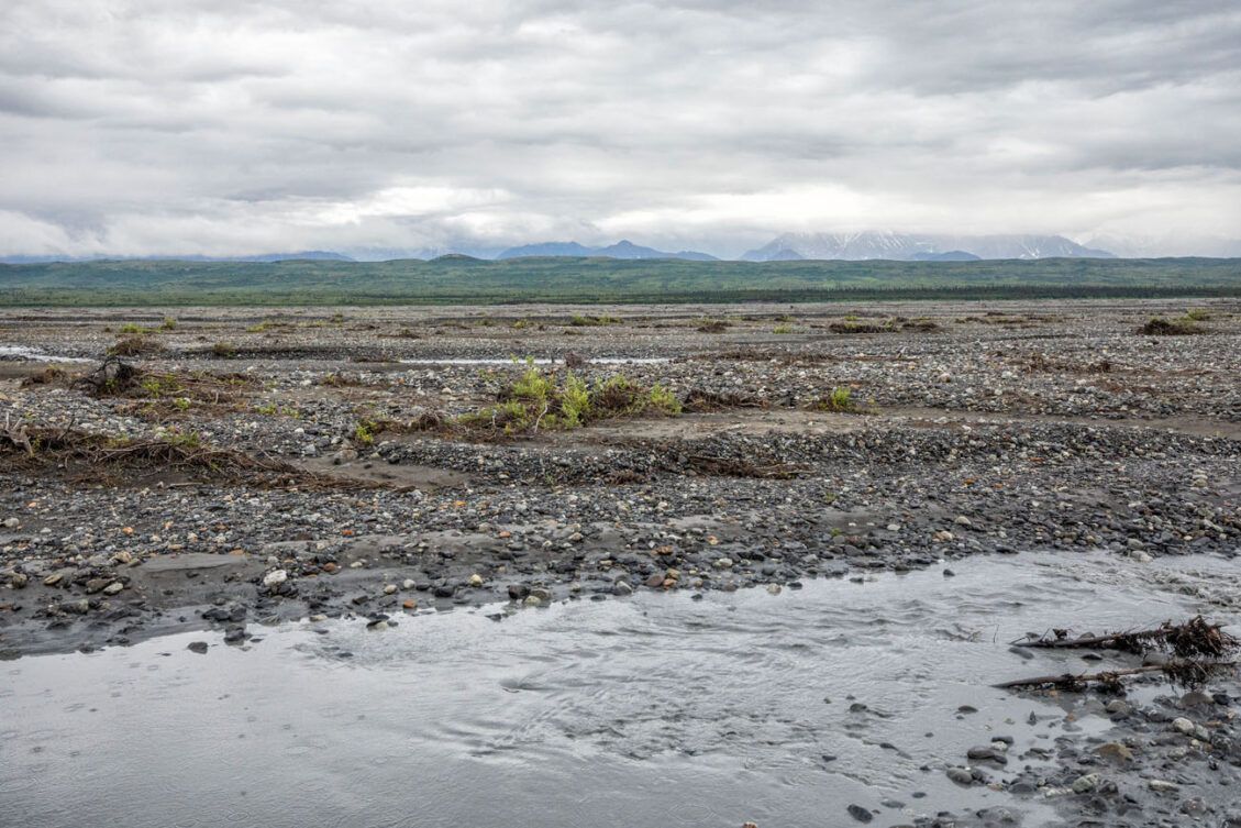 How to Hike the McKinley Bar Trail in Denali National Park – Earth Trekkers