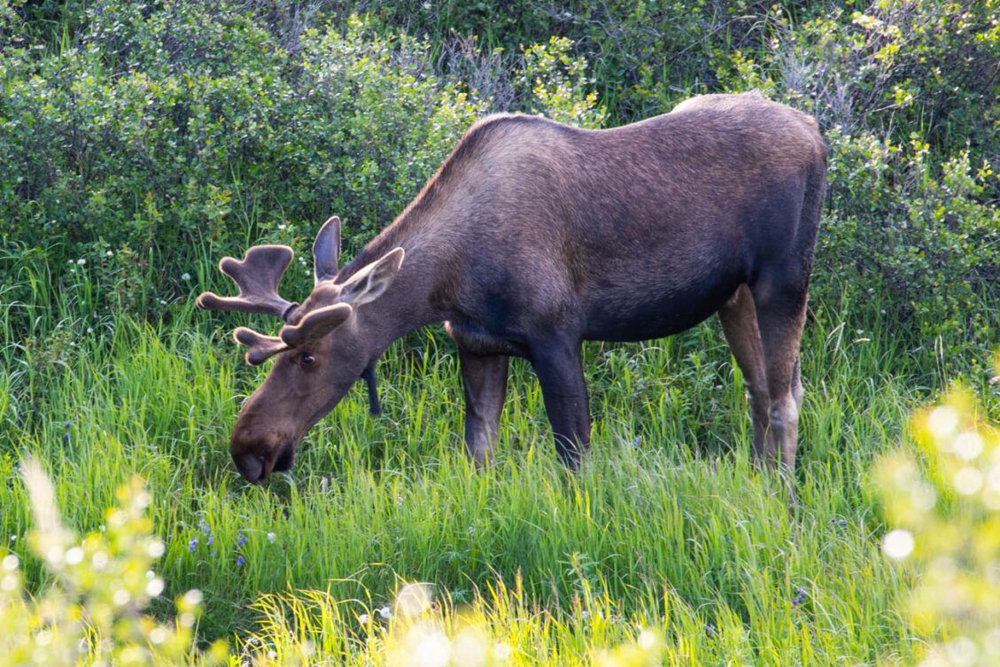 15 Best National Parks To Visit In July USA National Park United 