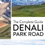 Denali Park Road Travel Guide