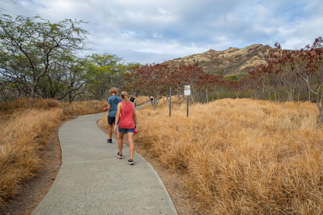 Diamond Head Summit Trail, Oahu Things to Know Before You Go Earth