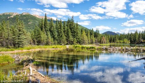 Top 10 Hikes in Denali National Park & Preserve – Earth Trekkers