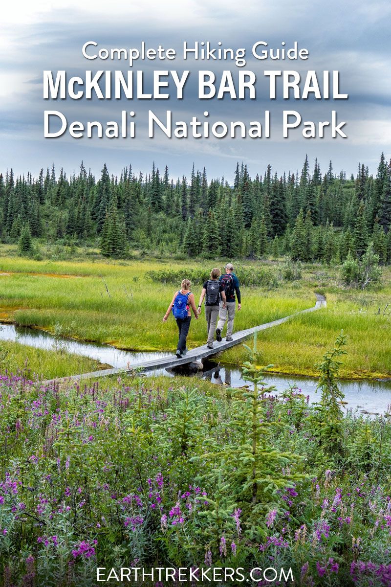 McKinley Bar Trail Denali National Park