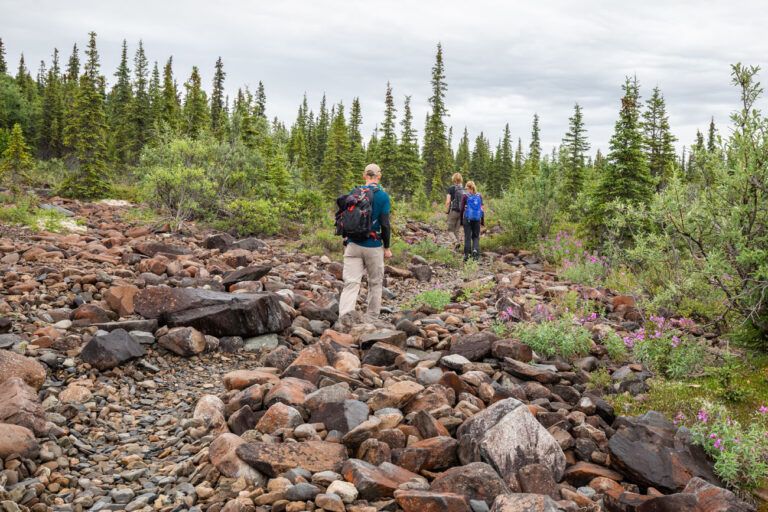 How to Hike the McKinley Bar Trail in Denali National Park – Earth Trekkers