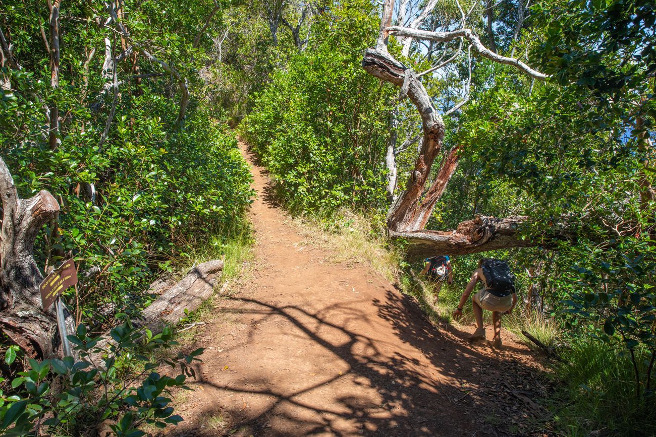 Nualolo Cliff Trail Start