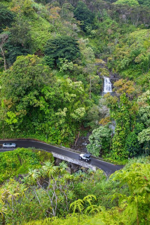 Road To Hana Best Things To Do Map Photos Is It Worth It Earth   Road To Hana View 500x750 .optimal 