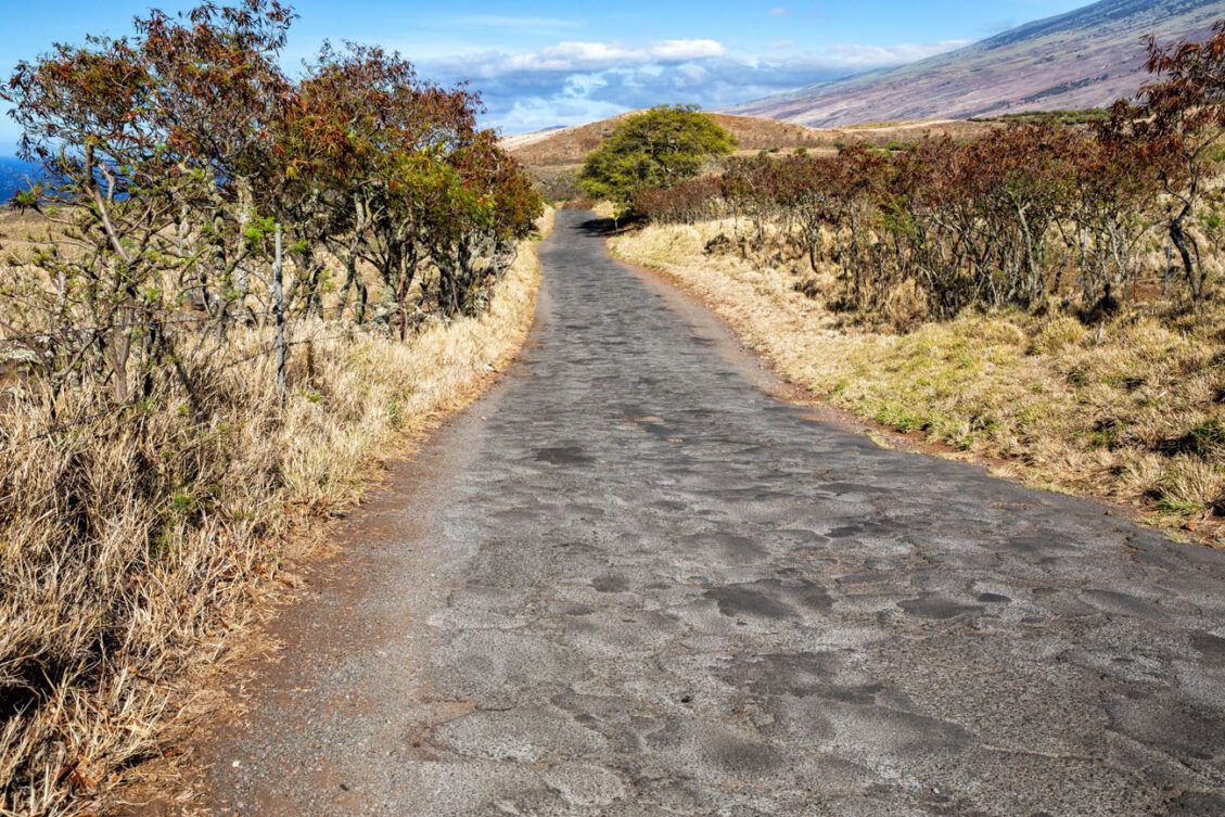 Road to Hana Best Things to Do, Map, Photos & is It Worth It? Earth