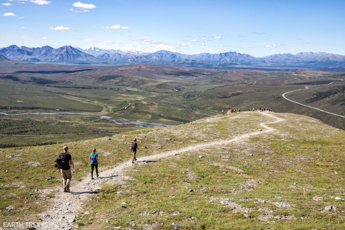 How to Hike the Savage Alpine Trail in Denali National Park Earth