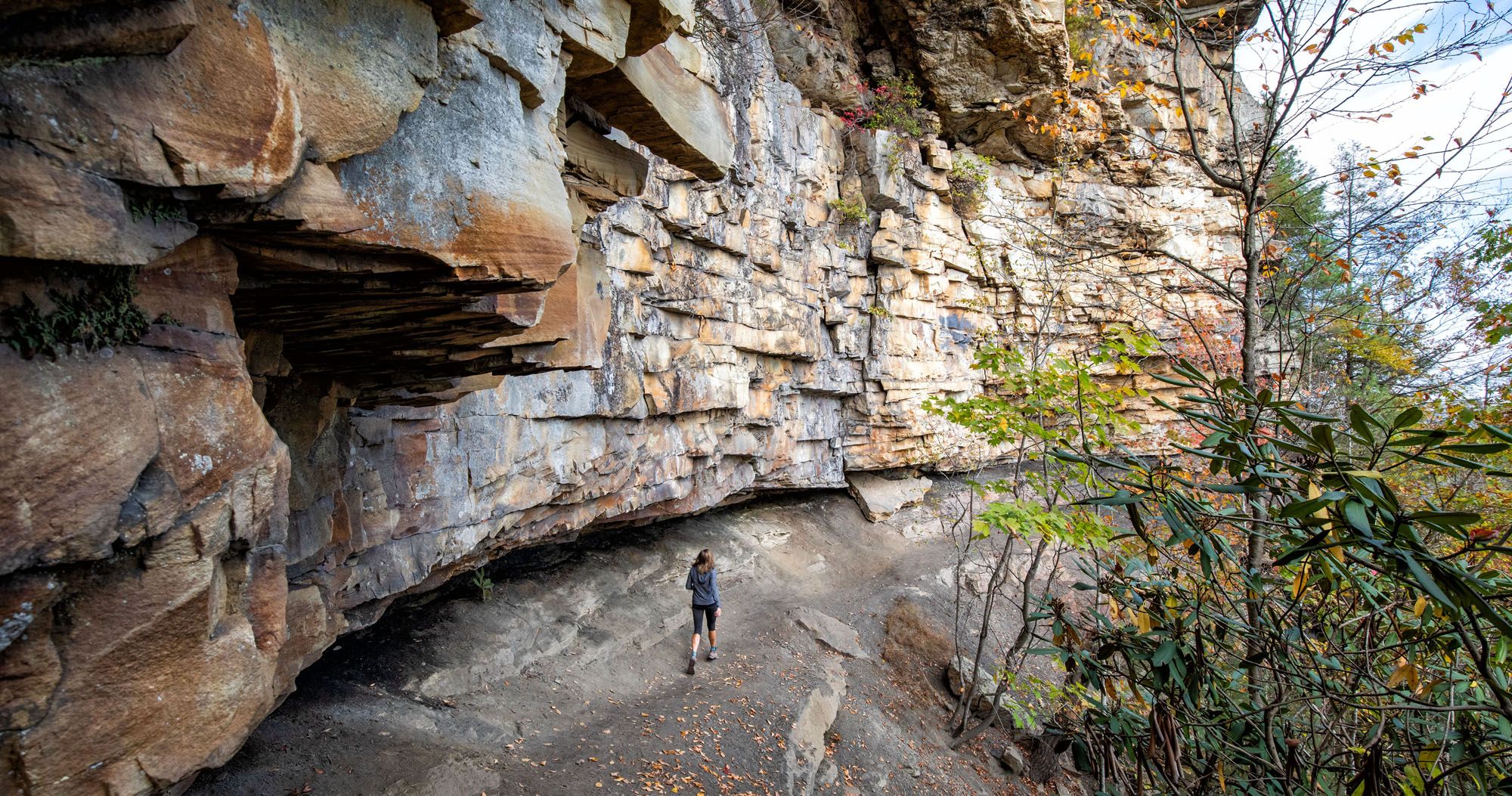 Best Hikes in New River Gorge