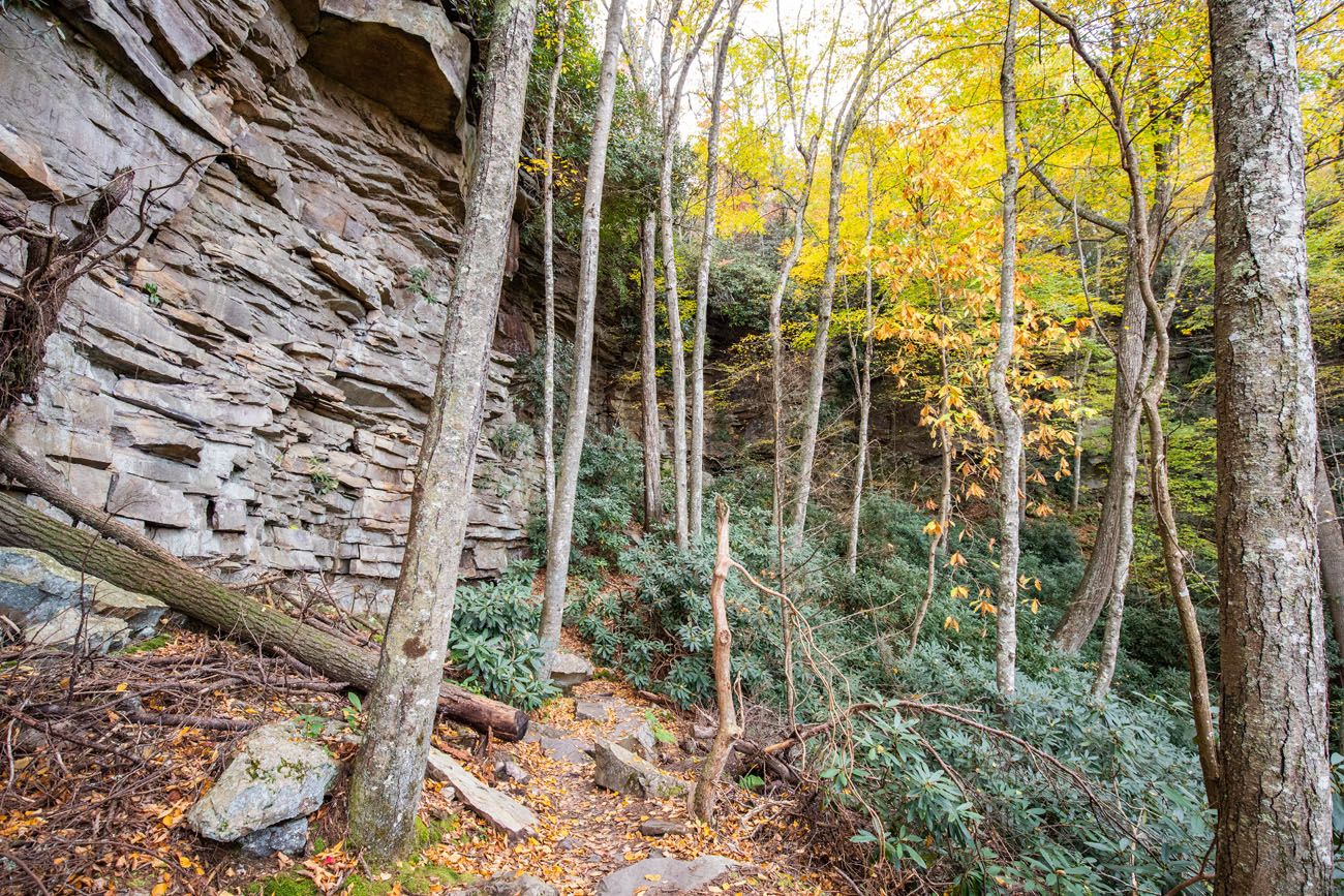 Hiking in October best hikes in New River Gorge