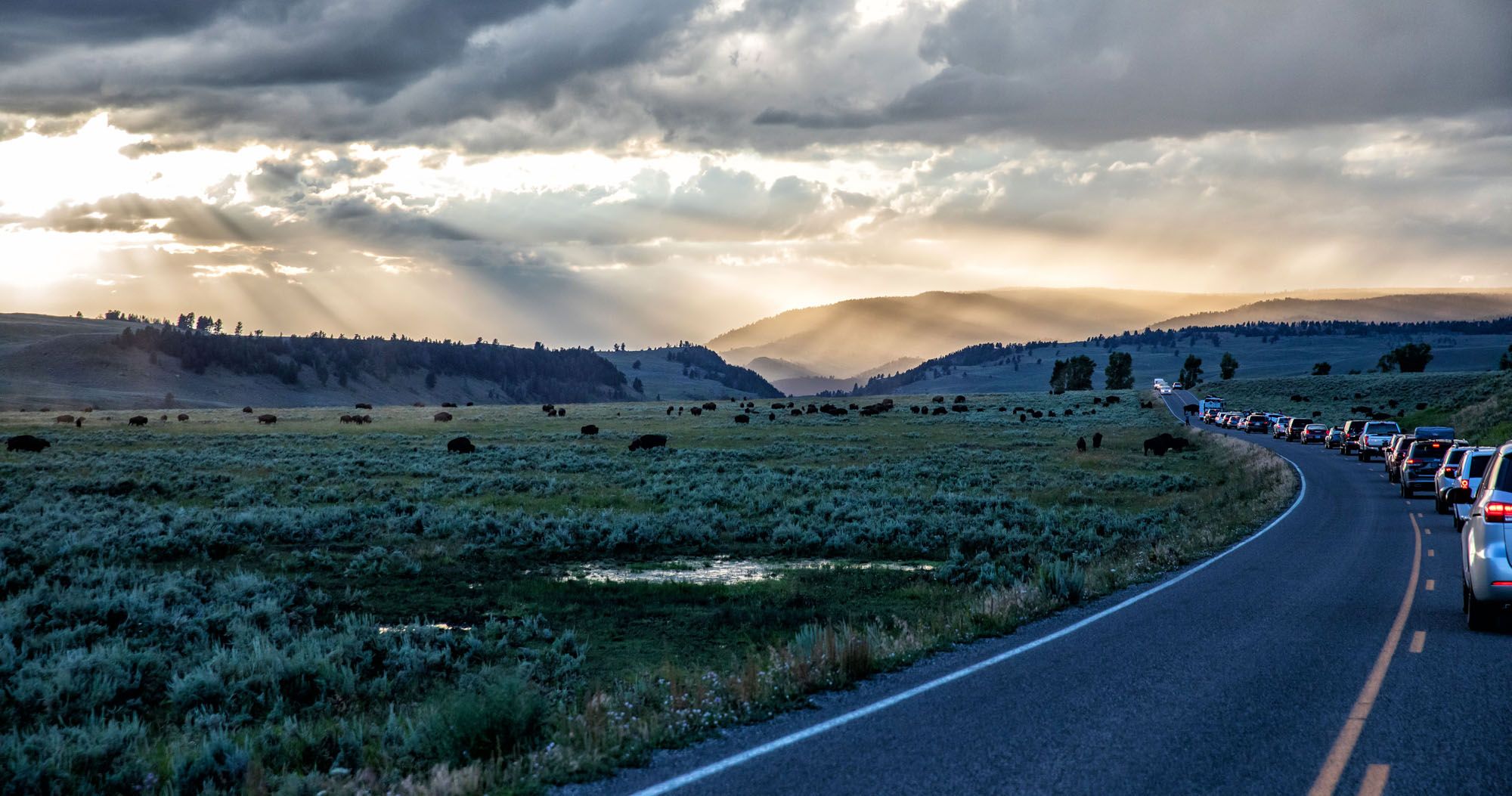 Featured image for “One Day in Yellowstone: 6 Epic Road Trip Itineraries”