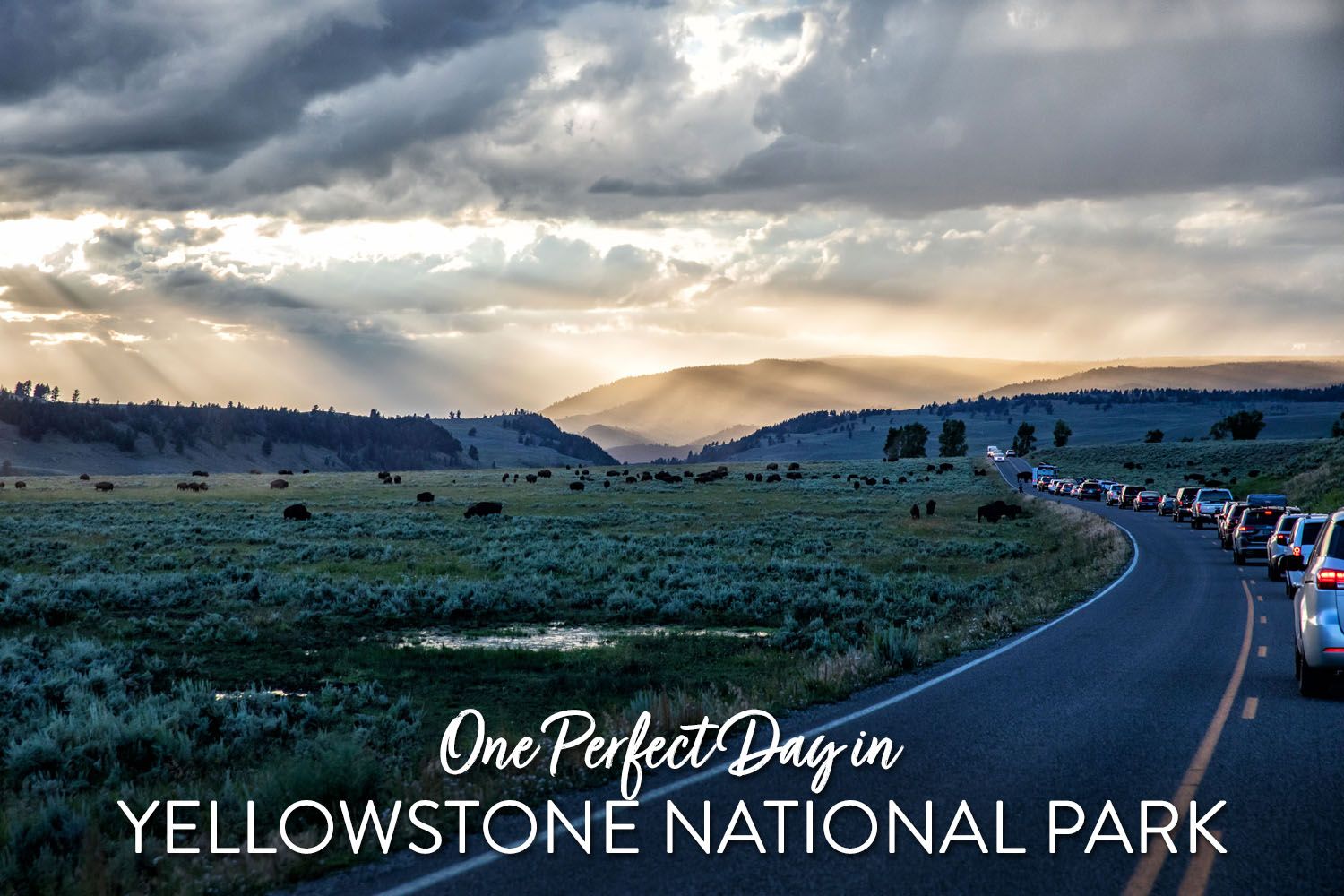 One Day in Yellowstone