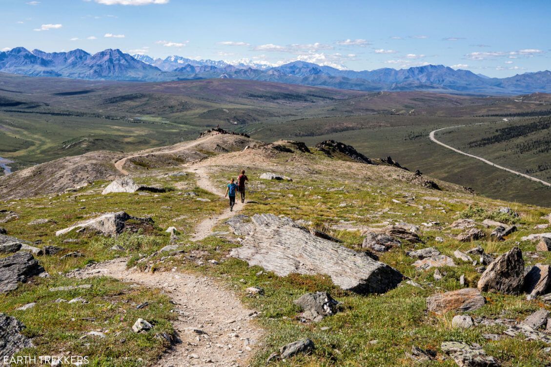 How to Hike the Savage Alpine Trail in Denali National Park – Earth ...