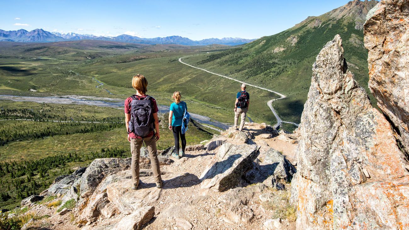 How to Hike the Savage Alpine Trail in Denali National Park Earth
