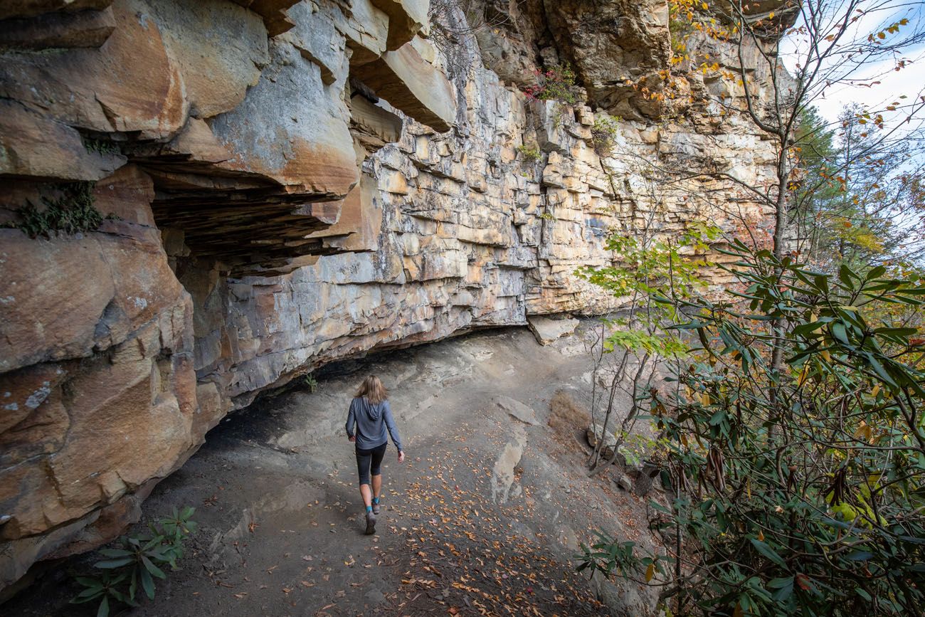 Best Hikes New River Gorge | Best National Parks in October