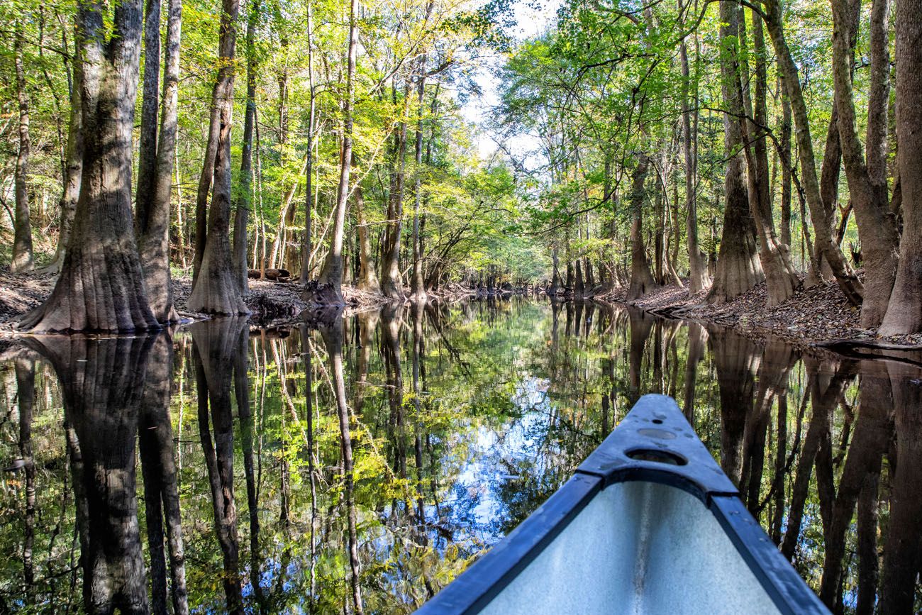 Canoeing Congaree National Park