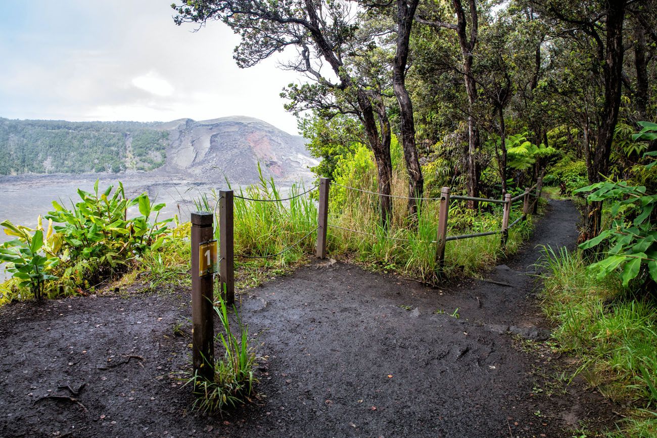 Crater Rim Trail Overlook