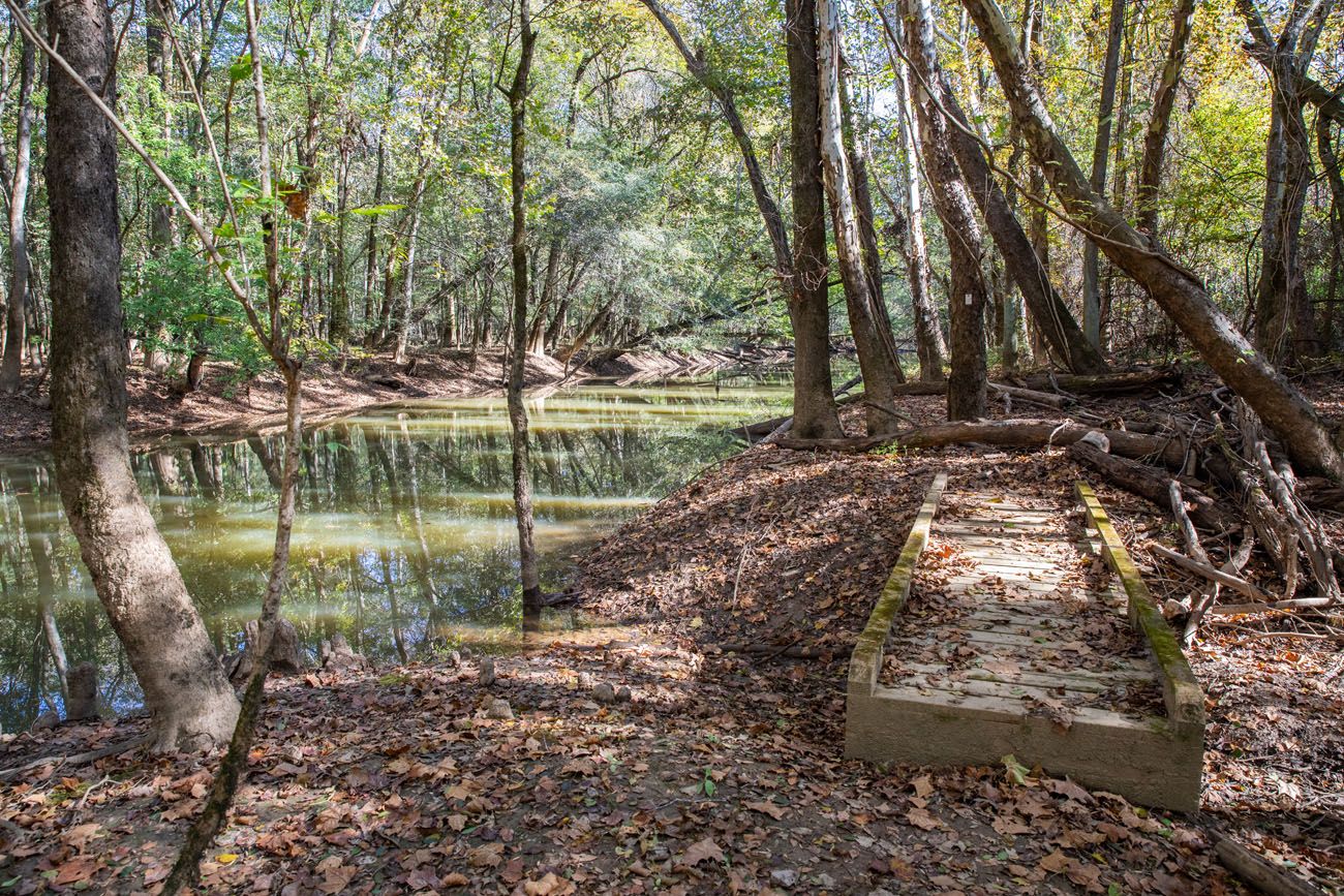 Fork Swamp Trail best things to do in Congaree