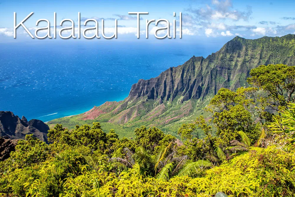 Lush green views of the Kalalau Trail in Hawaii with the ocean in the background.