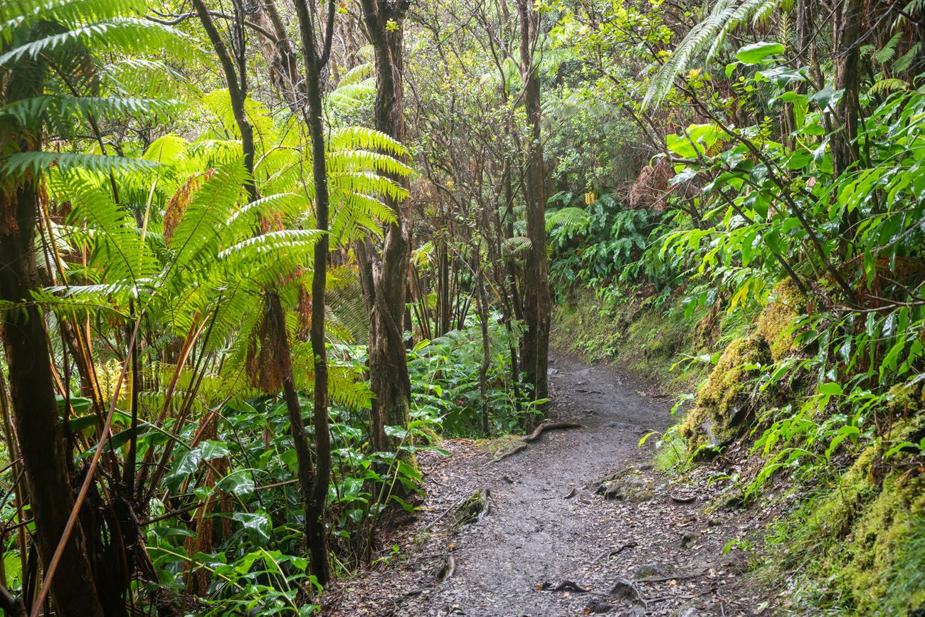 Kilauea Hiking Trail
