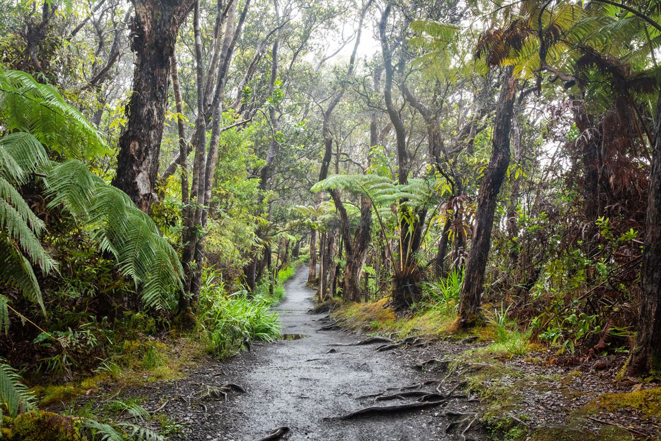 Kilauea Iki Connector Trail
