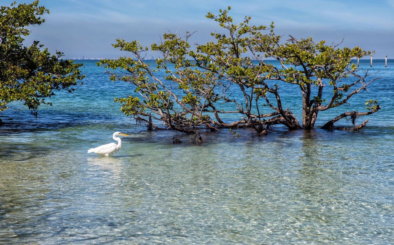 10 Best Things to Do in Biscayne National Park – Earth Trekkers
