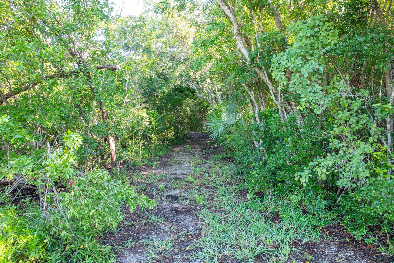 Elliott Key Hiking Trail best things to do in Biscayne National Park