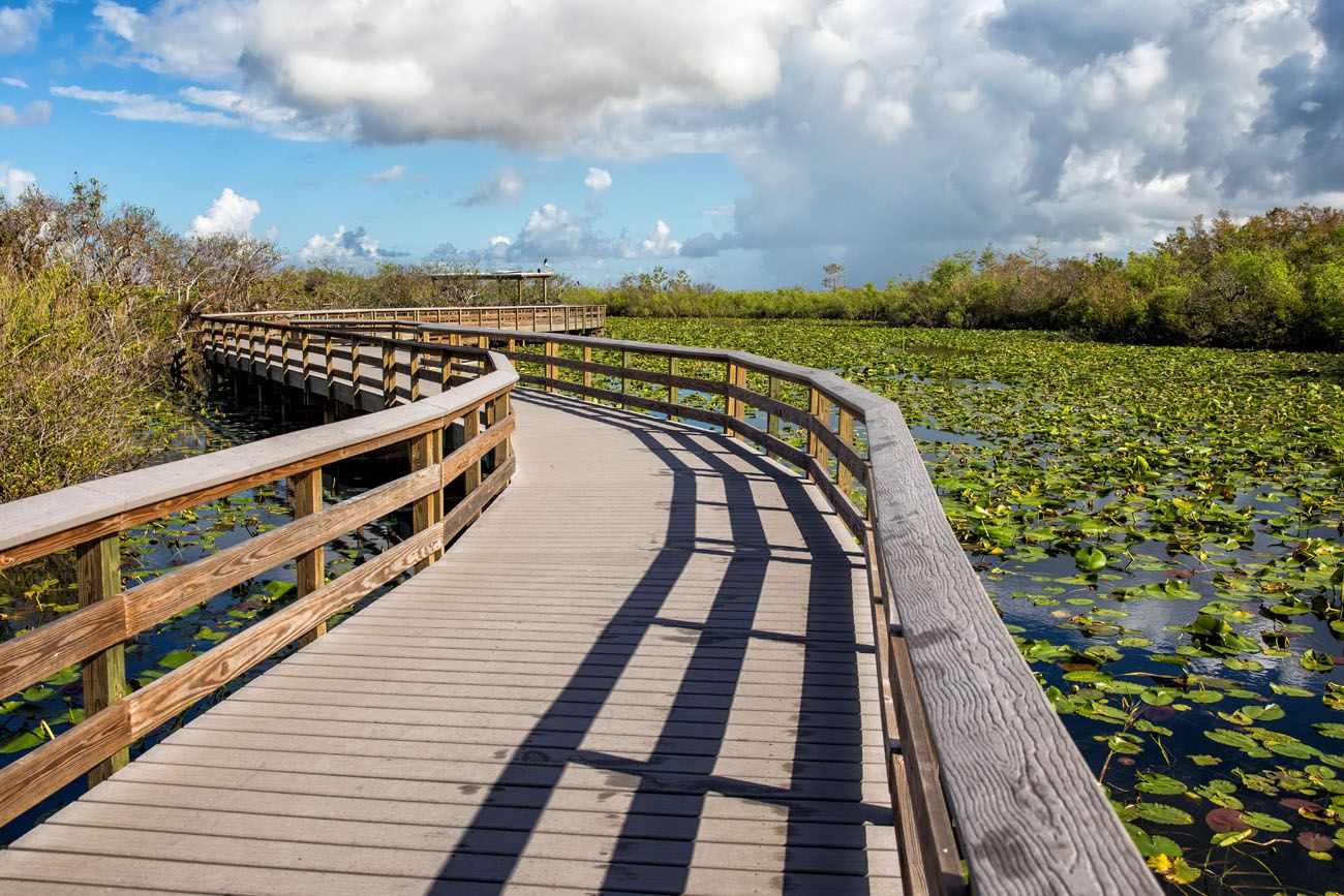 One Day in Everglades | Best National Parks in February