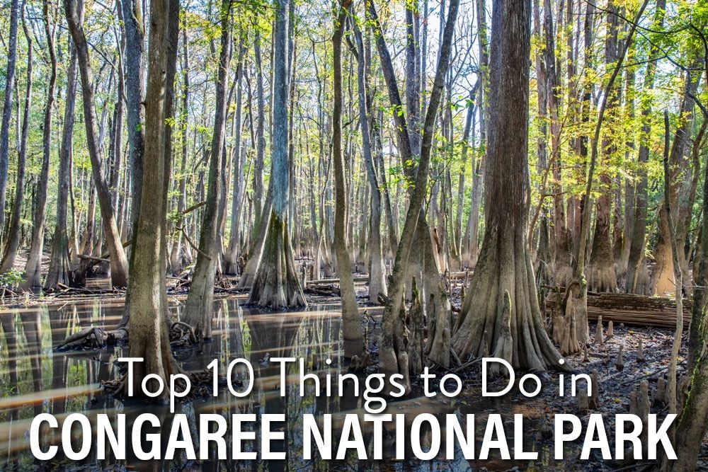 Things to Do in Congaree