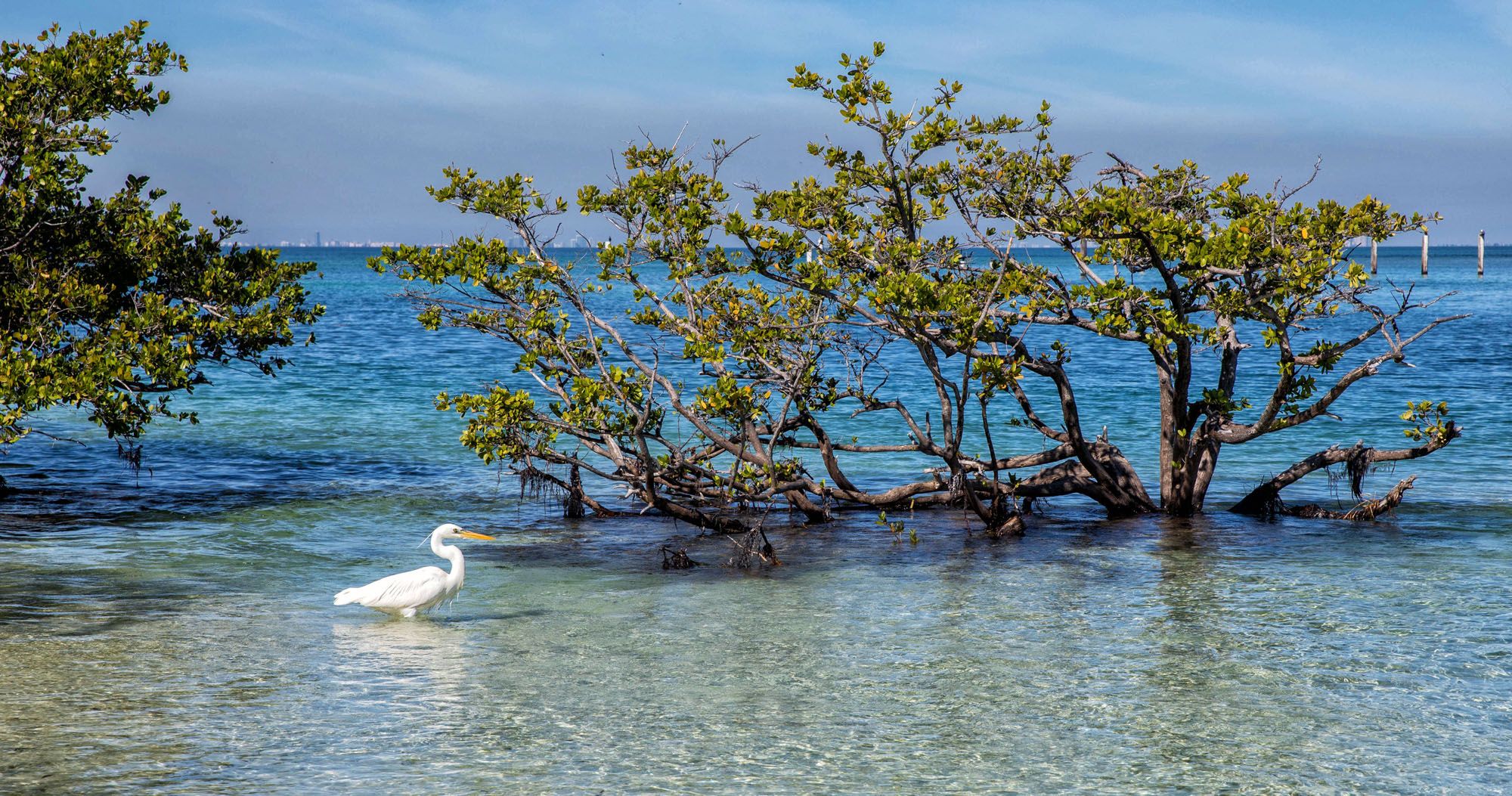 Things to do in Biscayne | Best National Parks in March