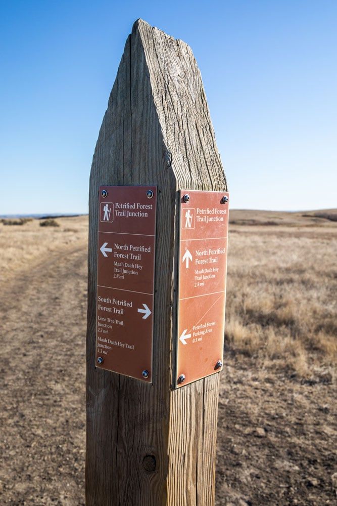 Trail Marker Petrified Forest